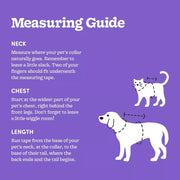 Skeleton Glow Reflective Halloween Hoodie Dog and Cat Costume