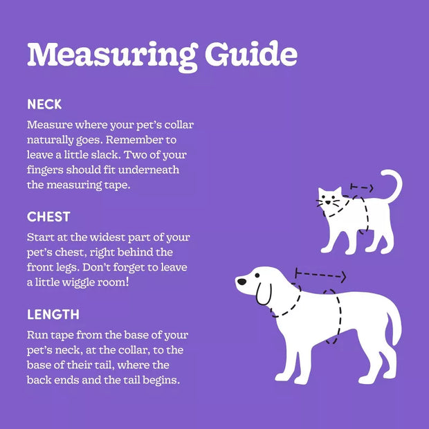 Skeleton Glow Reflective Halloween Hoodie Dog and Cat Costume