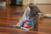 24 Piece Value Pack Cat Toys