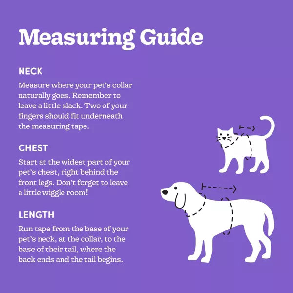 Skeleton Glow Reflective Halloween Hoodie Dog and Cat Costume