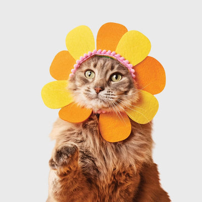 Flower Cat Headpiece Costume- Orange One Size Fits Most