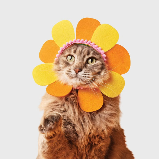 Flower Cat Headpiece Costume- Orange One Size Fits Most